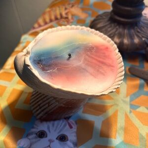 Multicolor Candle in Shell